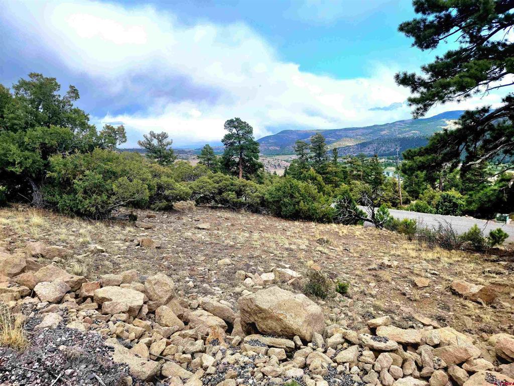 Tbd Little Bear Circle Lot 55 South Fork CO 81154