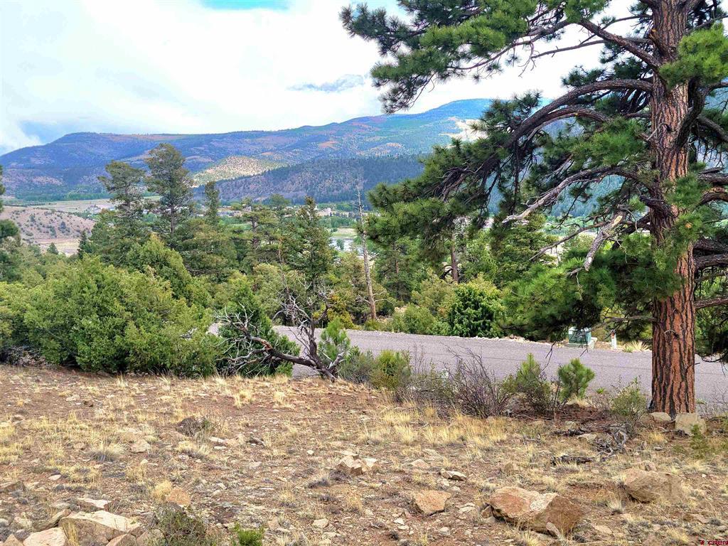 Tbd Little Bear Circle Lot 55 South Fork CO 81154