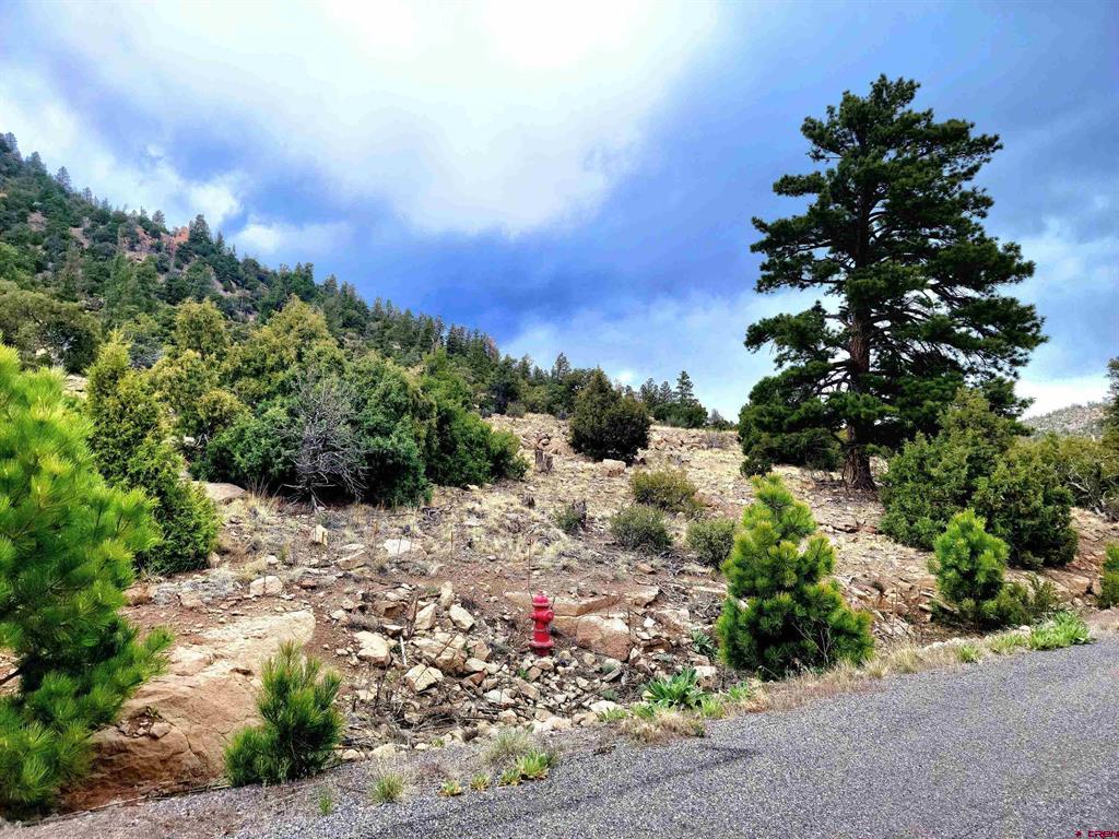 Tbd Little Bear Circle Lot 55 South Fork CO 81154