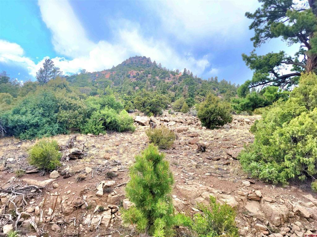 Tbd Little Bear Circle Lot 55 South Fork CO 81154