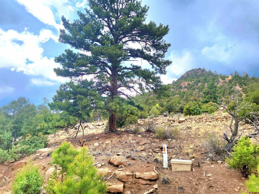 Tbd Little Bear Circle Lot 55 South Fork CO 81154