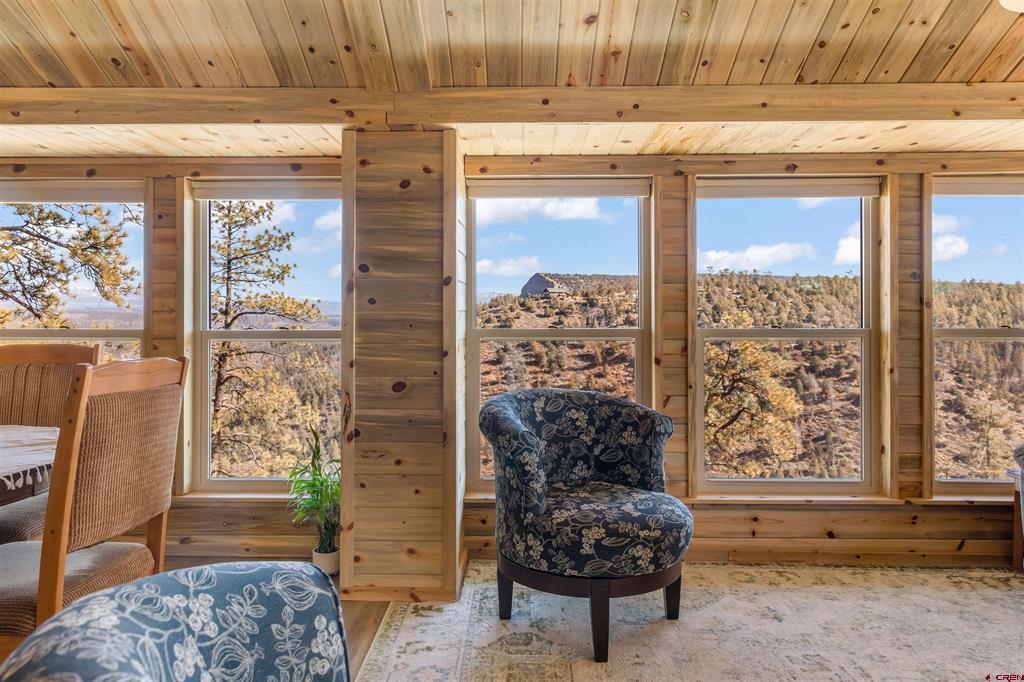 817 Far View Pagosa Springs CO 81147