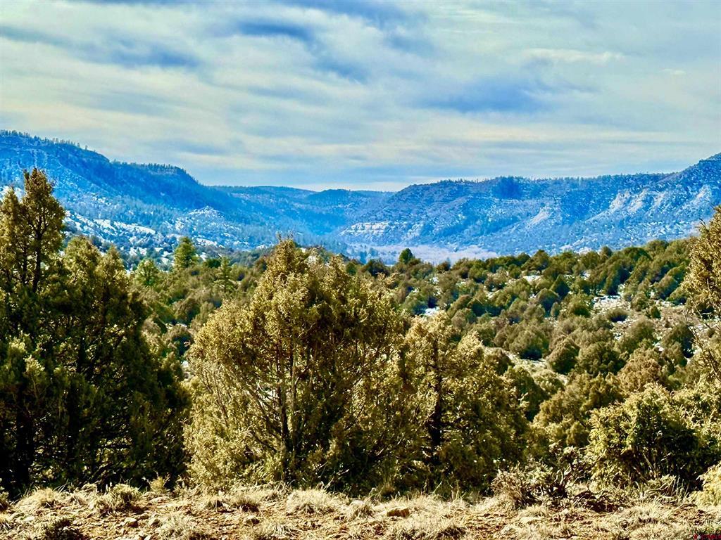 Lot 30 S. Rockcliff Circle Pagosa Springs CO 81121