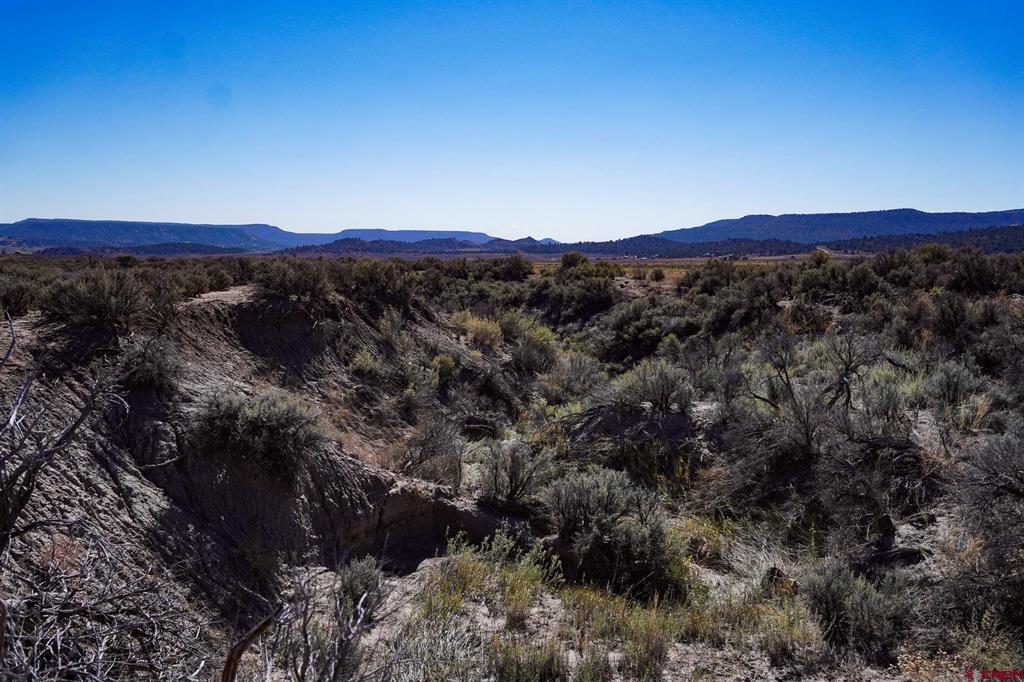 Tbdwp County Road 319 Ignacio CO 81137