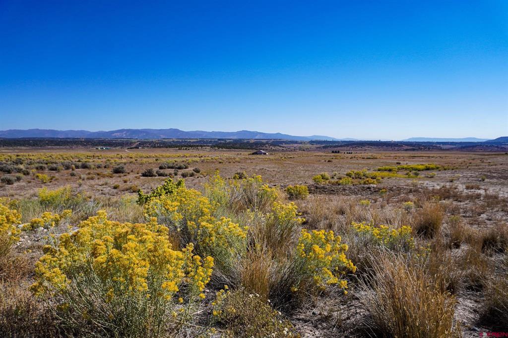 Tbdwp County Road 319 Ignacio CO 81137
