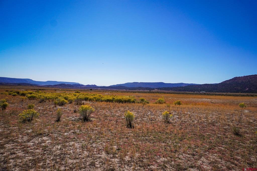 Tbdwp County Road 319 Ignacio CO 81137