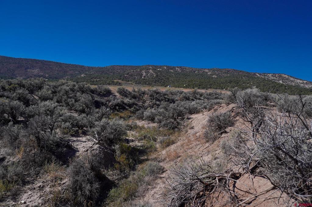Tbdwp County Road 319 Ignacio CO 81137