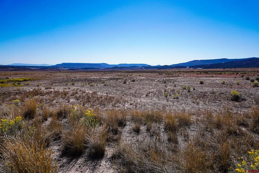 Tbdwp County Road 319 Ignacio CO 81137