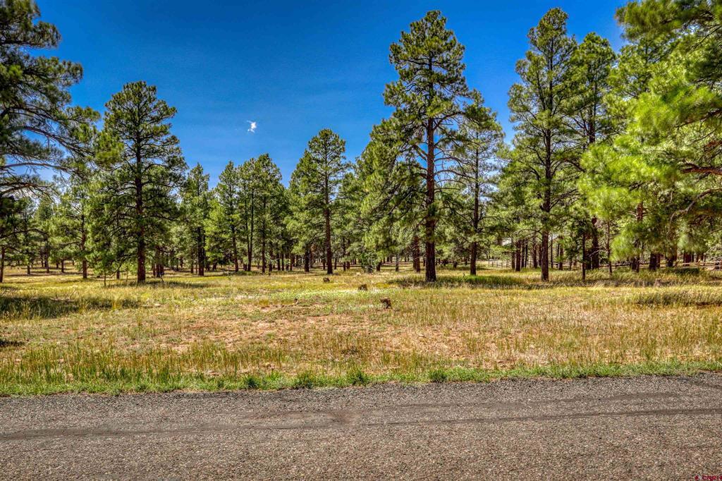 86 Hackamore Place Pagosa Springs CO 81147