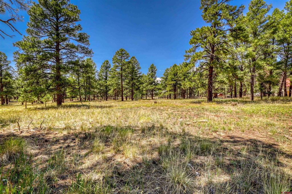 86 Hackamore Place Pagosa Springs CO 81147