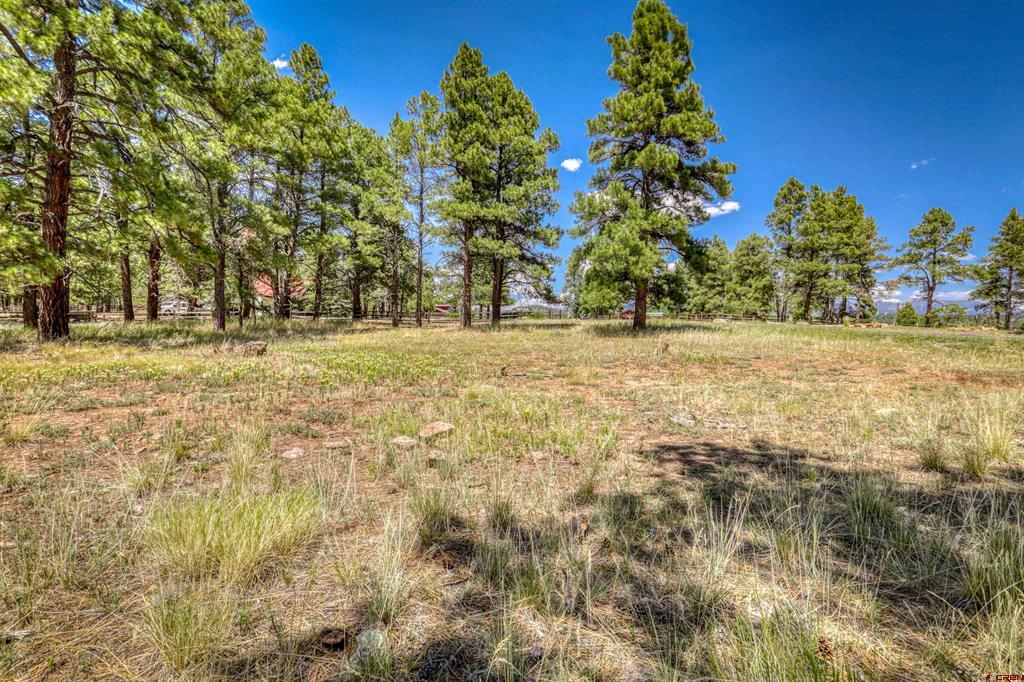 86 Hackamore Place Pagosa Springs CO 81147