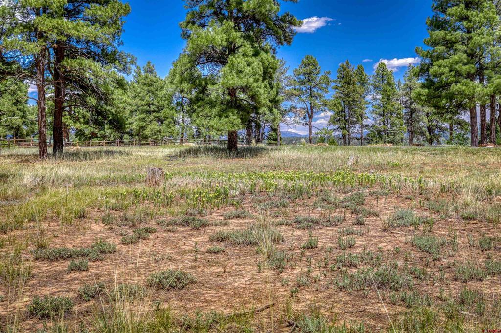 86 Hackamore Place Pagosa Springs CO 81147