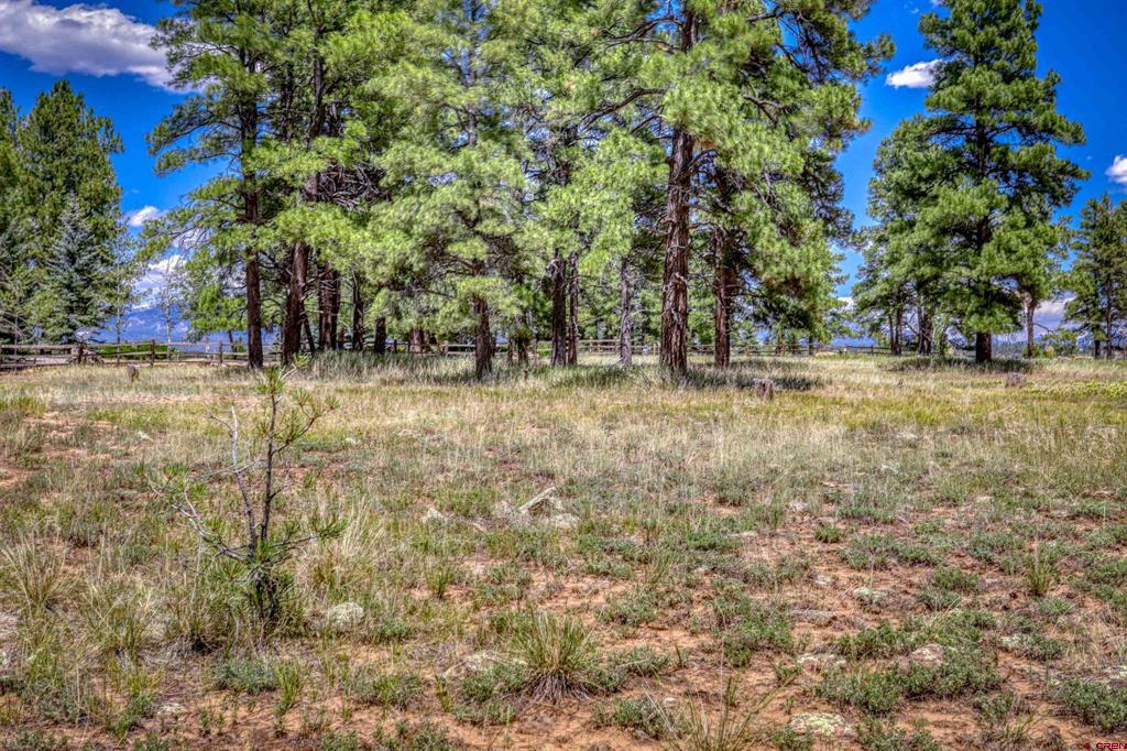 86 Hackamore Place Pagosa Springs CO 81147