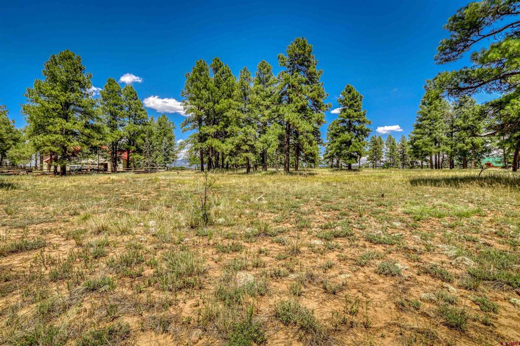 86 Hackamore Place Pagosa Springs CO 81147