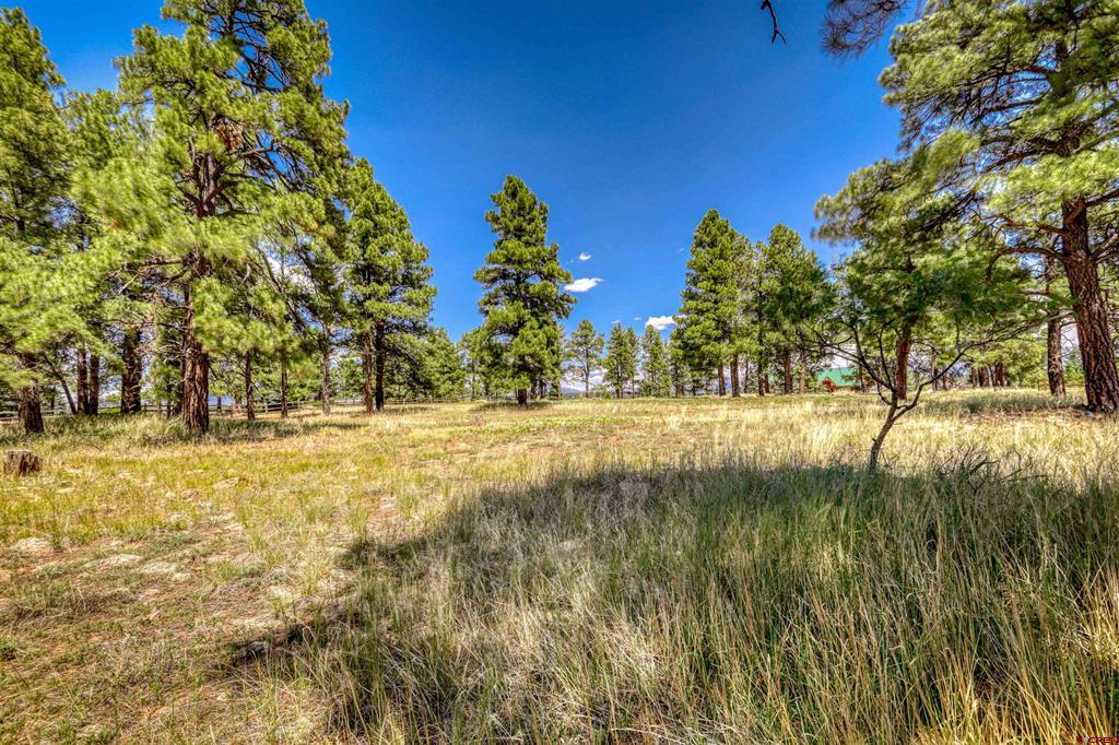 86 Hackamore Place Pagosa Springs CO 81147