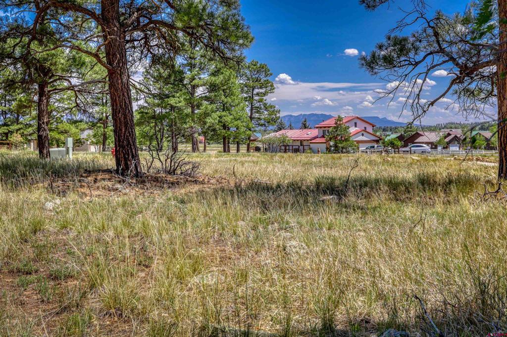 86 Hackamore Place Pagosa Springs CO 81147