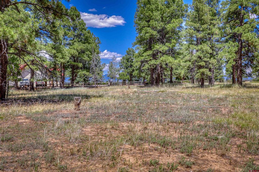 86 Hackamore Place Pagosa Springs CO 81147