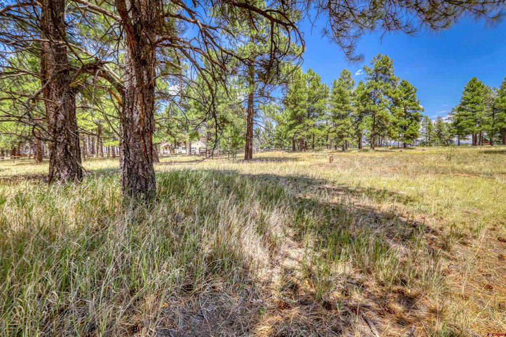 86 Hackamore Place Pagosa Springs CO 81147