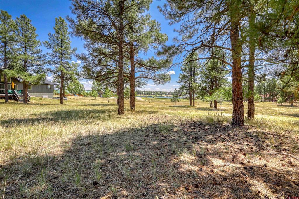 86 Hackamore Place Pagosa Springs CO 81147