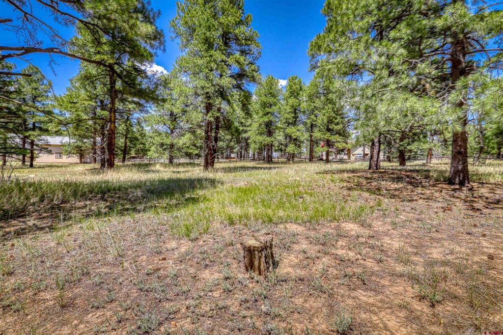 86 Hackamore Place Pagosa Springs CO 81147