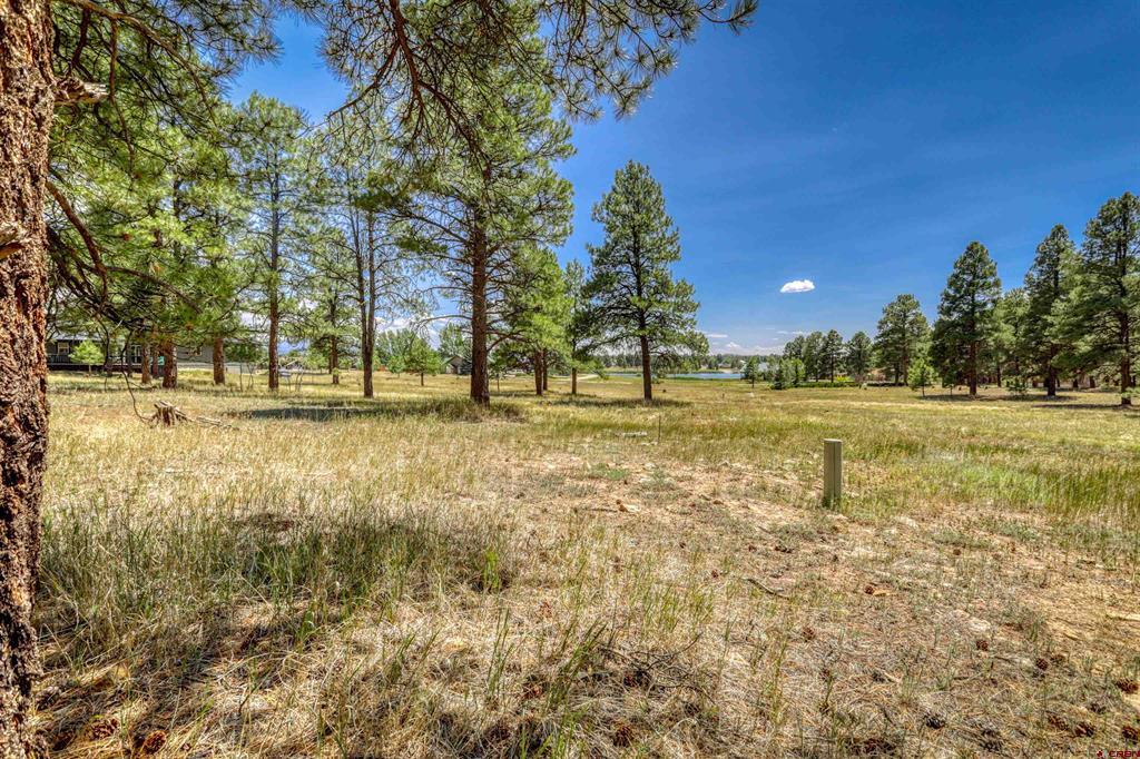 86 Hackamore Place Pagosa Springs CO 81147