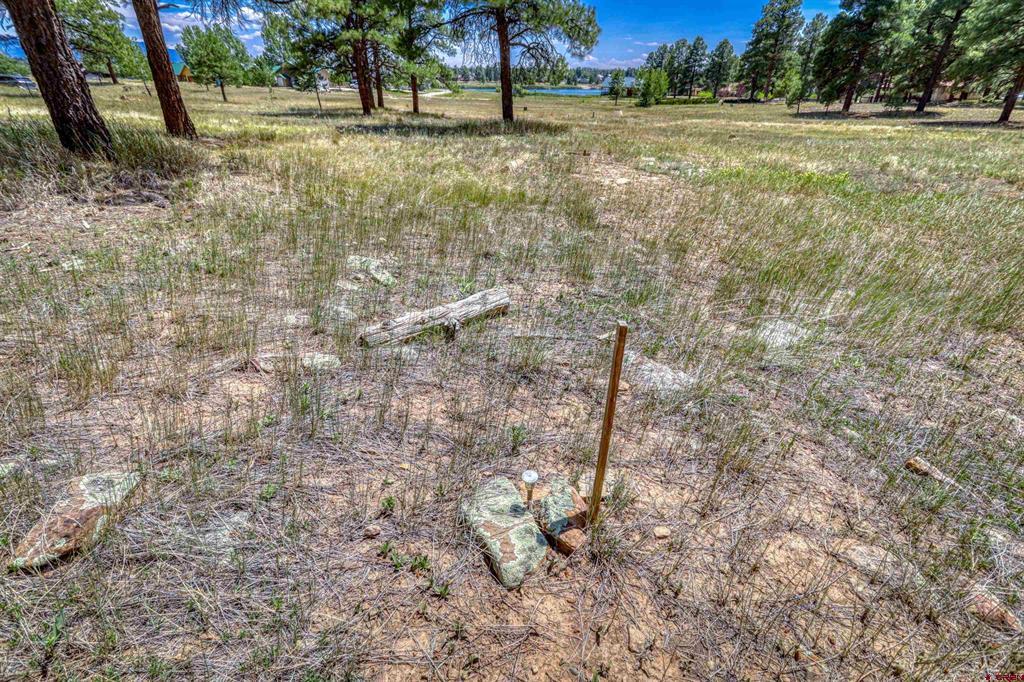 86 Hackamore Place Pagosa Springs CO 81147