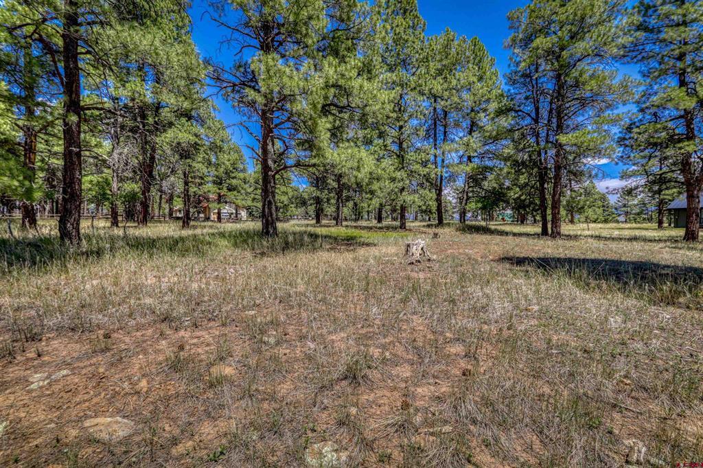 86 Hackamore Place Pagosa Springs CO 81147