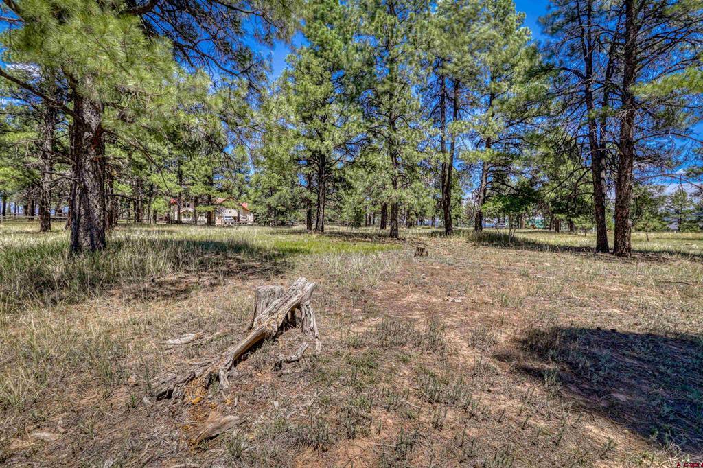 86 Hackamore Place Pagosa Springs CO 81147
