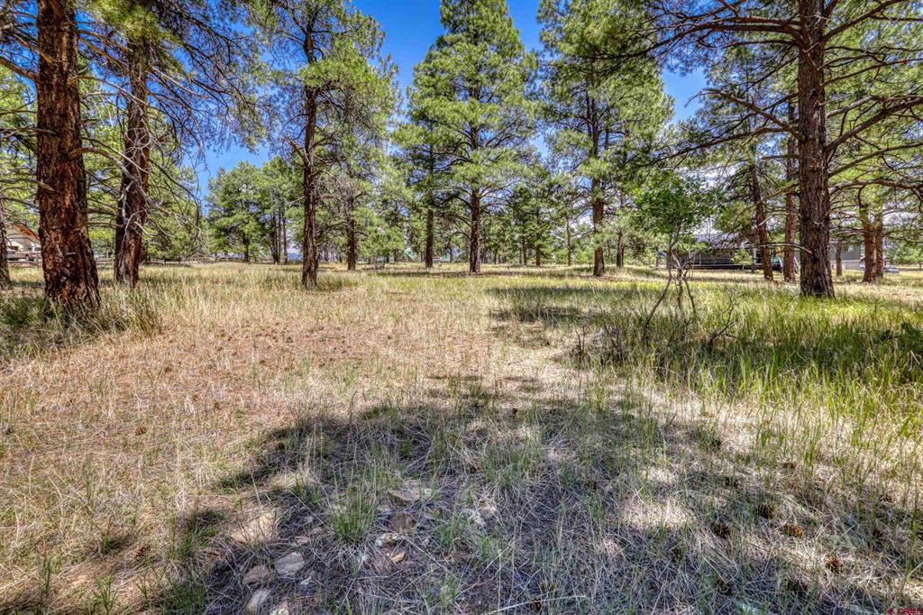 86 Hackamore Place Pagosa Springs CO 81147
