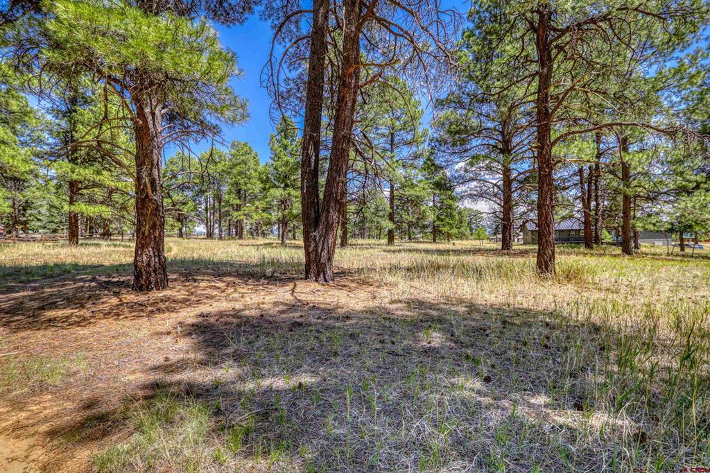 86 Hackamore Place Pagosa Springs CO 81147