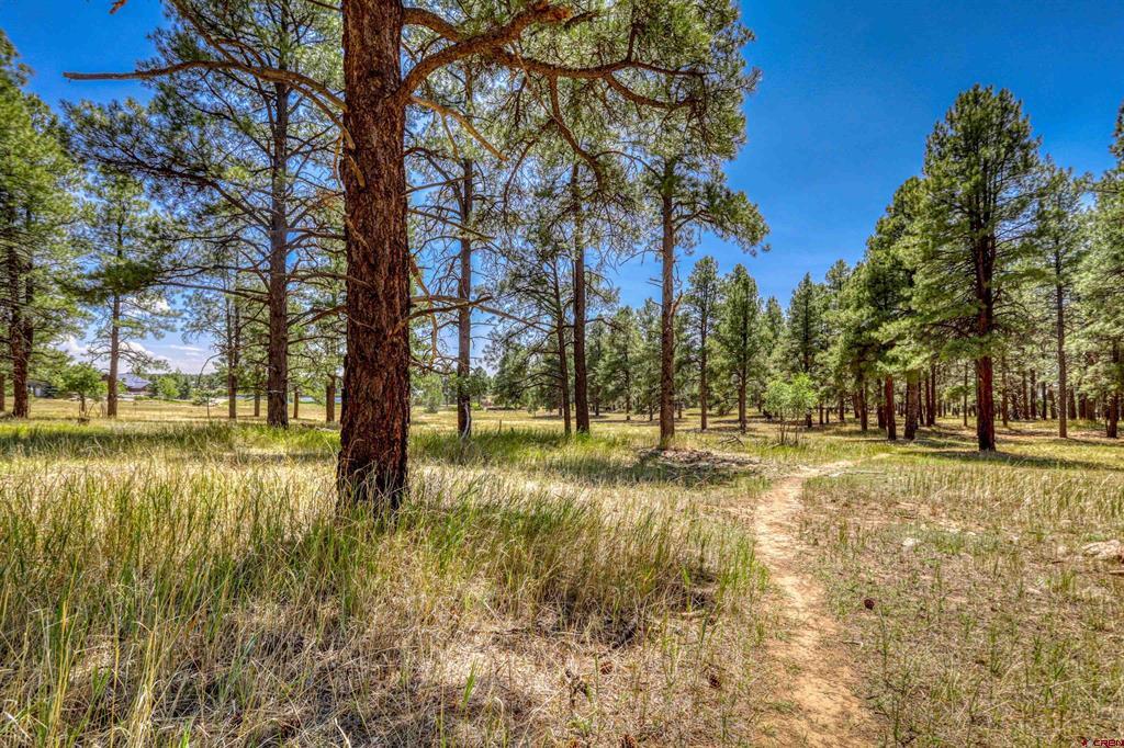 86 Hackamore Place Pagosa Springs CO 81147