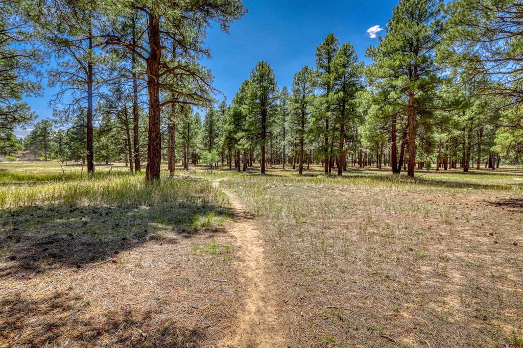 86 Hackamore Place Pagosa Springs CO 81147