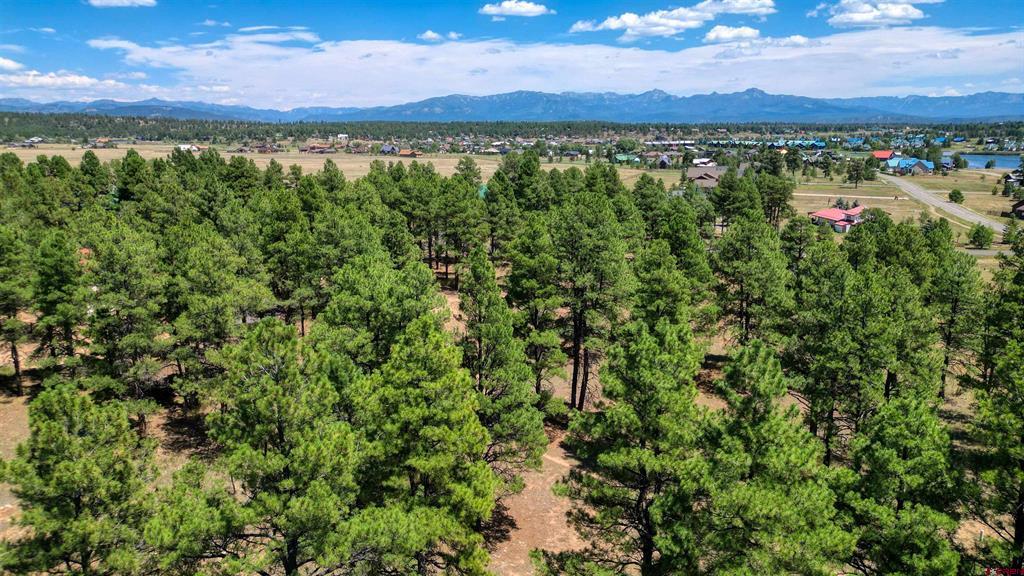 86 Hackamore Place Pagosa Springs CO 81147