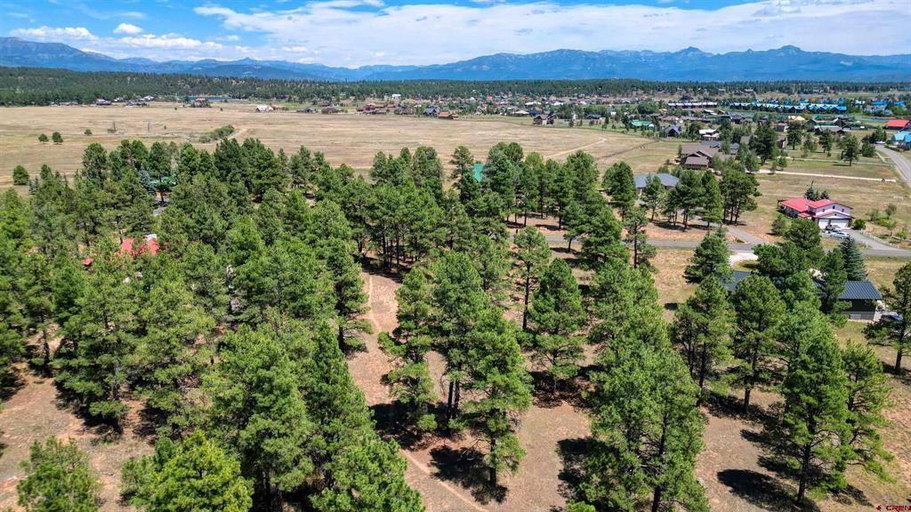 86 Hackamore Place Pagosa Springs CO 81147