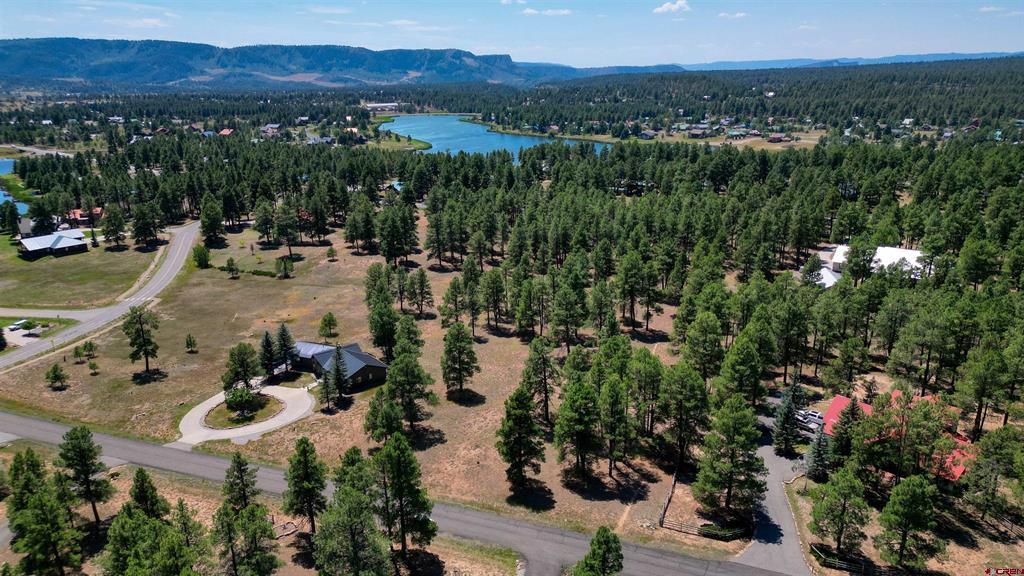 86 Hackamore Place Pagosa Springs CO 81147