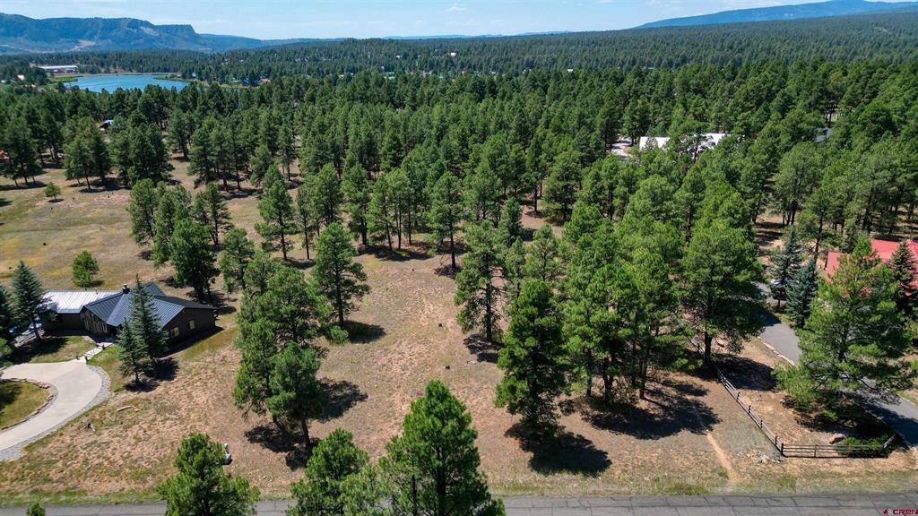 86 Hackamore Place Pagosa Springs CO 81147