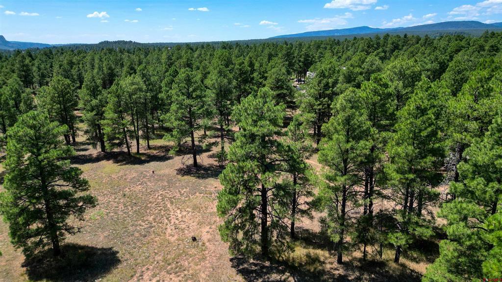 86 Hackamore Place Pagosa Springs CO 81147
