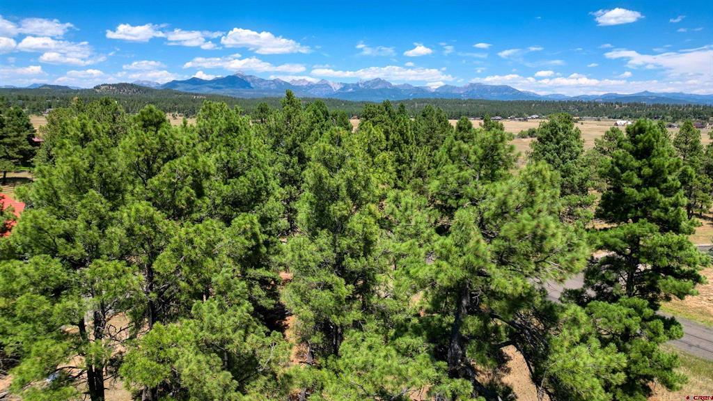 86 Hackamore Place Pagosa Springs CO 81147