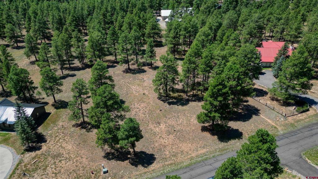 86 Hackamore Place Pagosa Springs CO 81147
