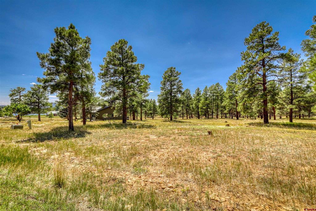86 Hackamore Place Pagosa Springs CO 81147