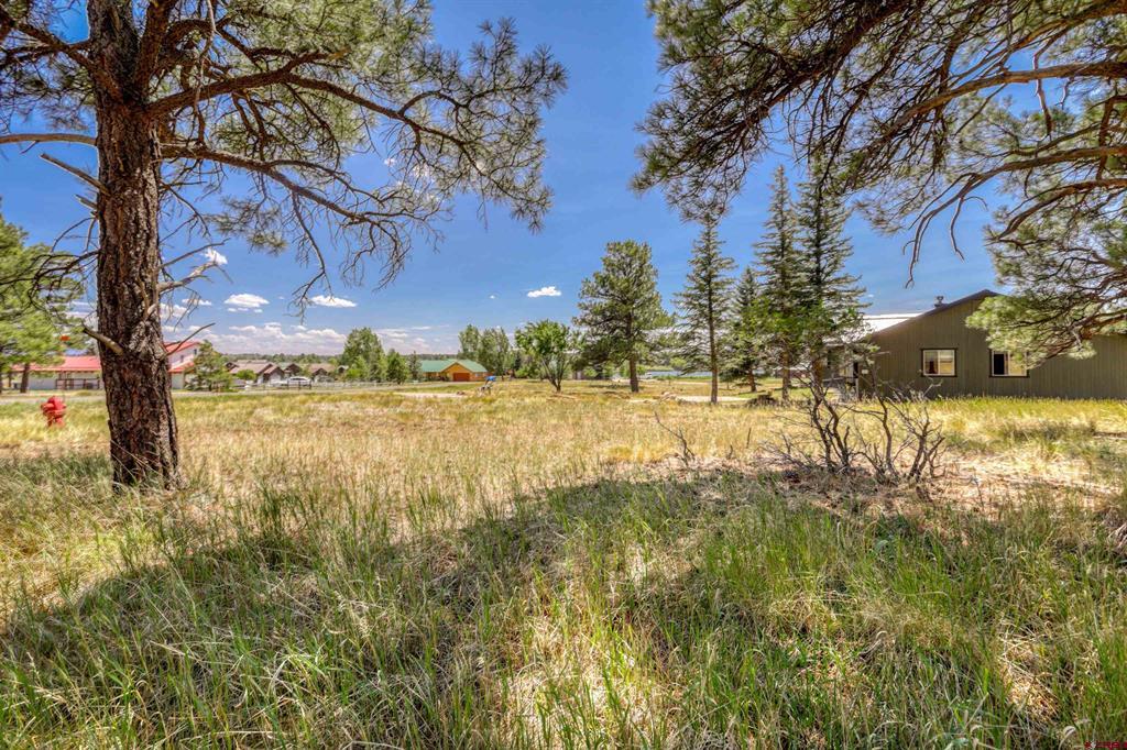 86 Hackamore Place Pagosa Springs CO 81147
