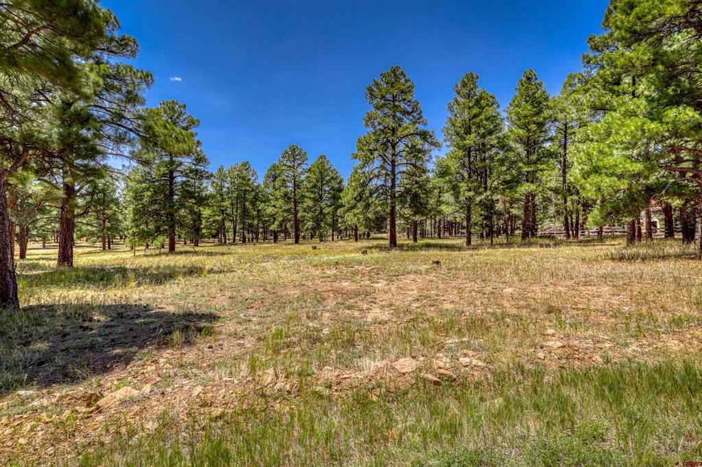 86 Hackamore Place Pagosa Springs CO 81147