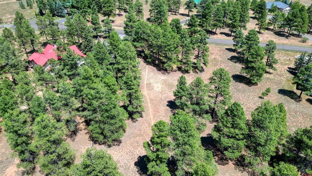 86 Hackamore Place Pagosa Springs CO 81147