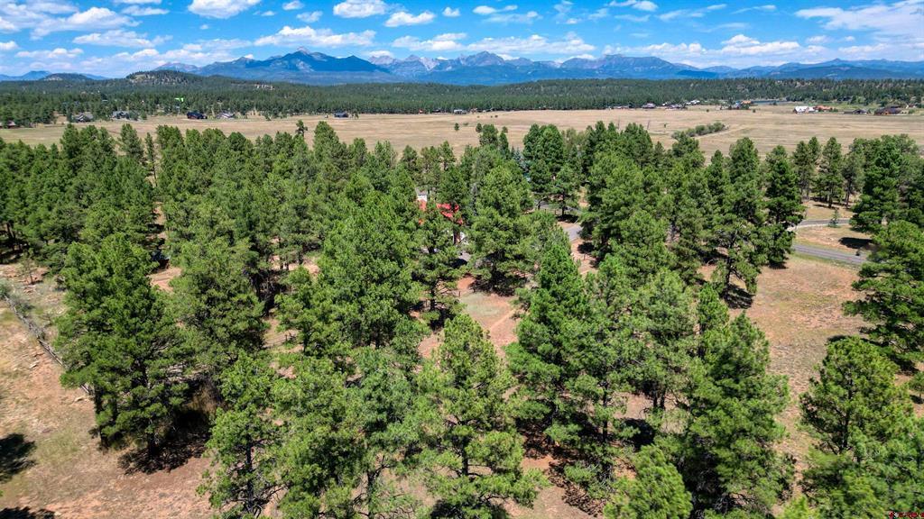 86 Hackamore Place Pagosa Springs CO 81147