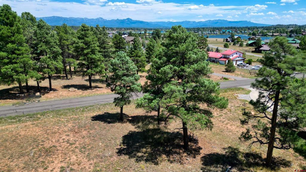 86 Hackamore Place Pagosa Springs CO 81147