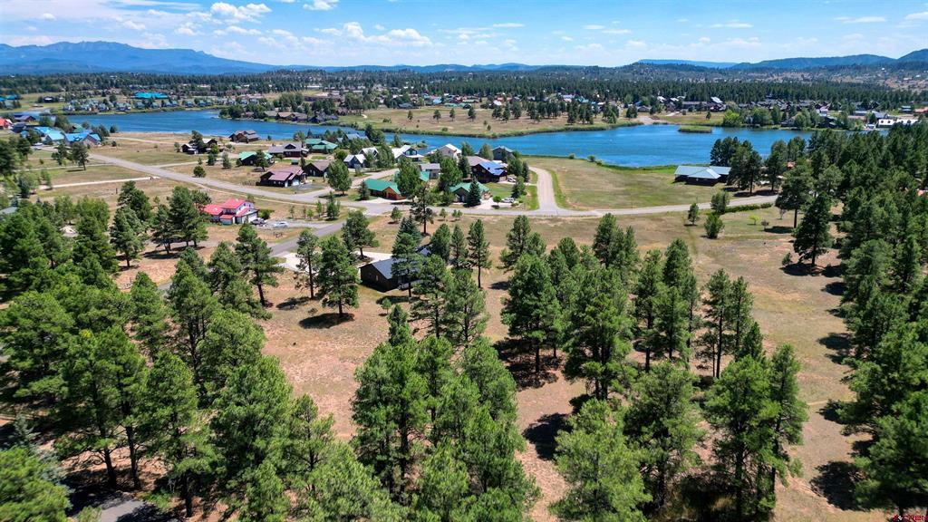 86 Hackamore Place Pagosa Springs CO 81147