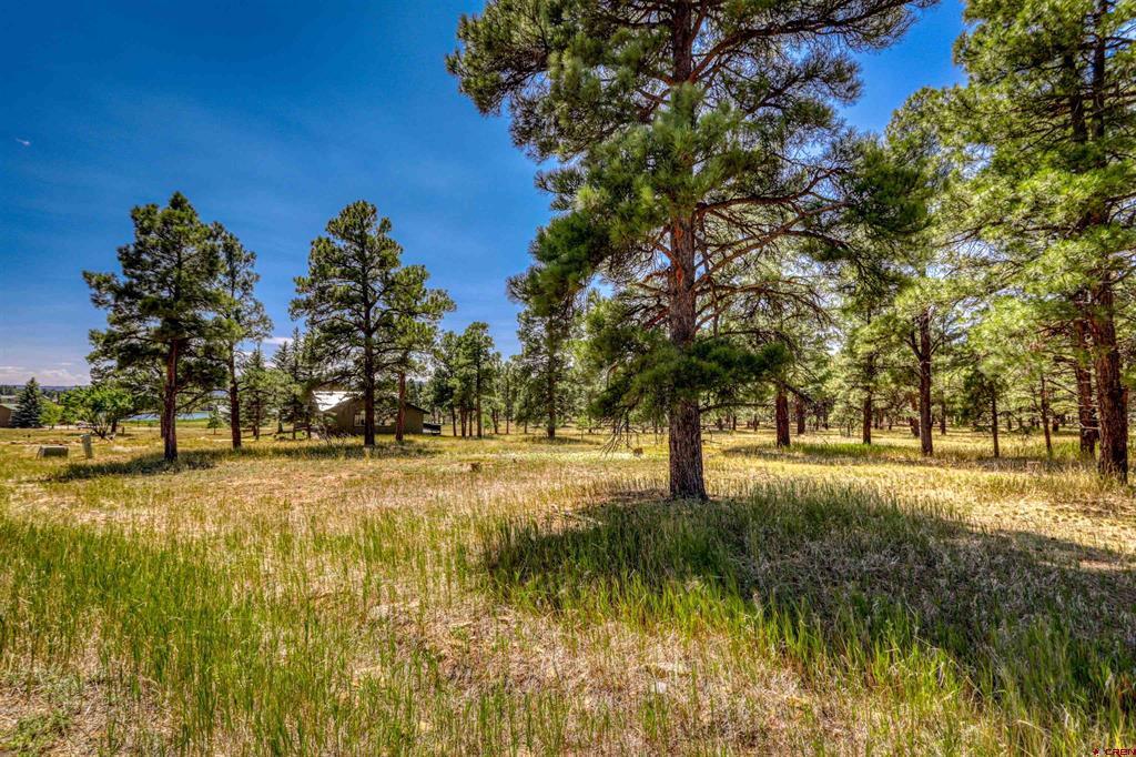 86 Hackamore Place Pagosa Springs CO 81147