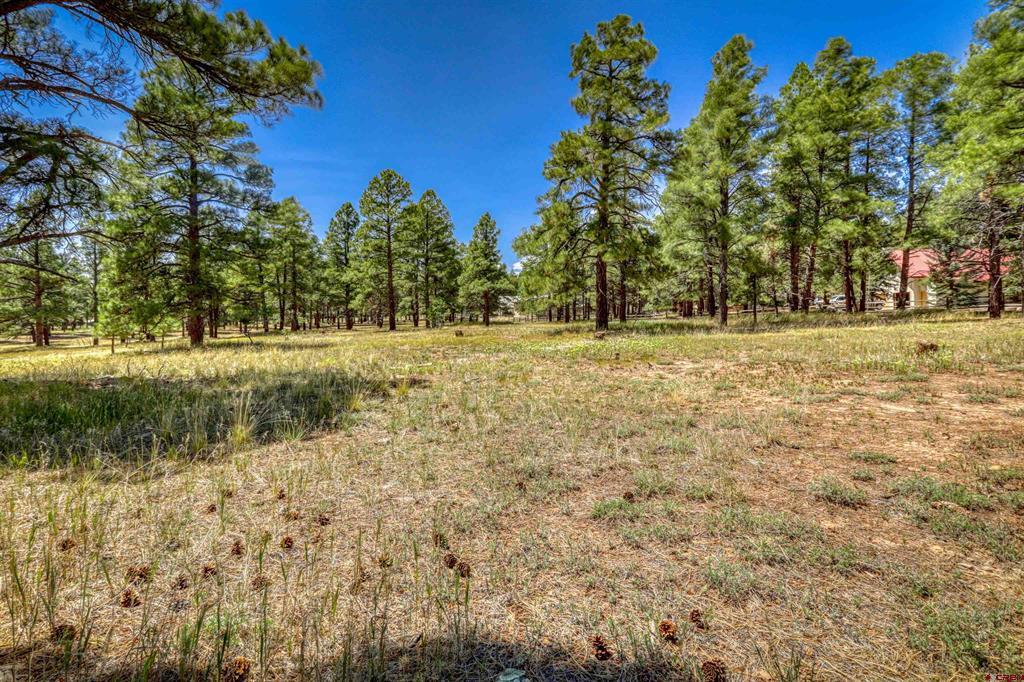 86 Hackamore Place Pagosa Springs CO 81147