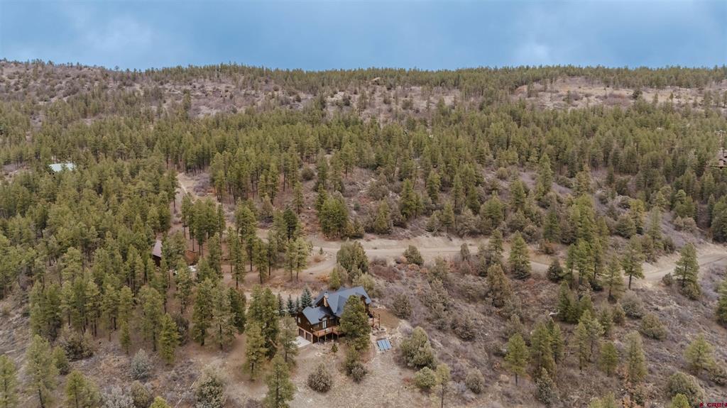 199 Starling Circle Pagosa Springs CO 81147