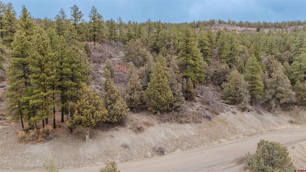 199 Starling Circle Pagosa Springs CO 81147